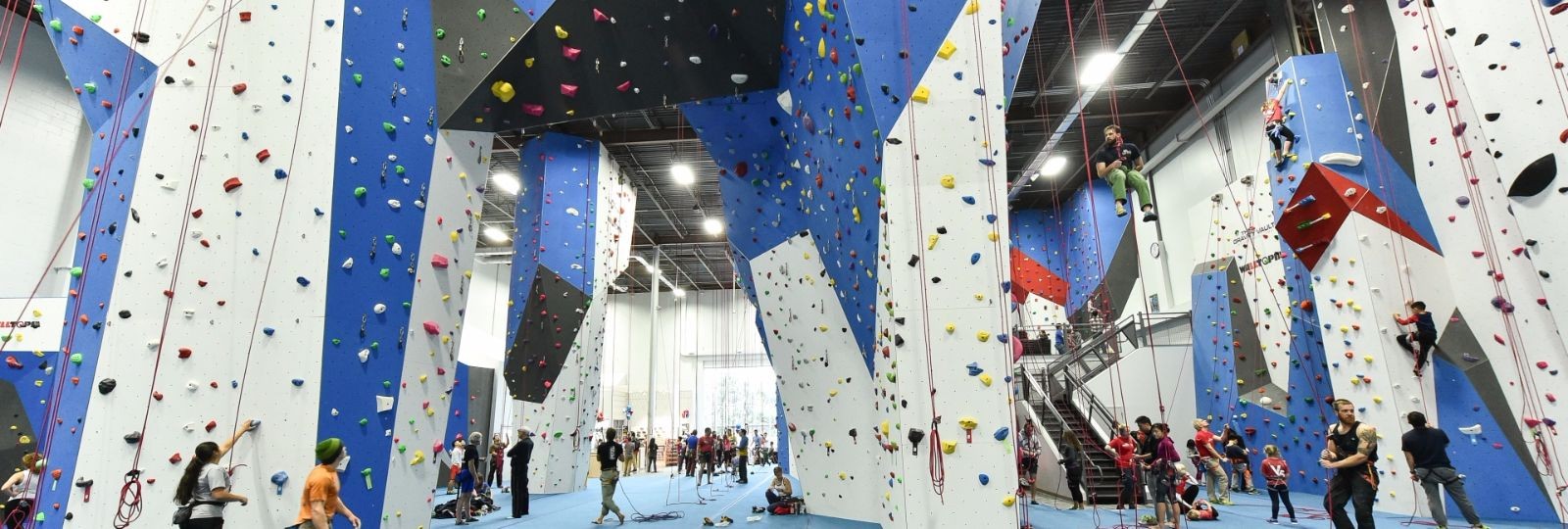The Gravity Vault | Indoor Rock Climbing Gyms | NJ, NY & PA